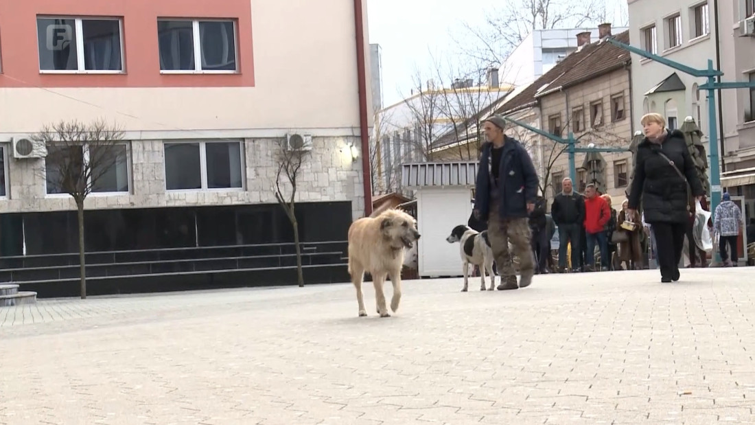 Psi lutalice sve veći problem u USK-u, stavovi o eutanaziji podijeljeni