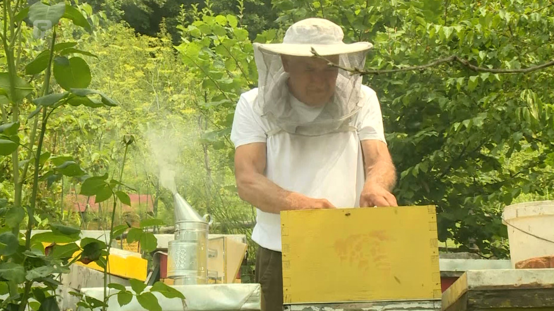 Loša godina za pčelare, potrebna im je pomoć nadležnih