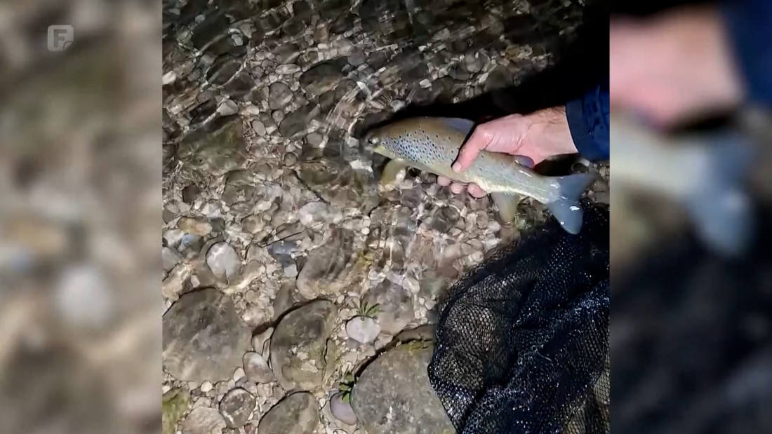 Stručnjaci upozoravaju: Oscilacije u vodostaju Neretve uništavaju mrijest