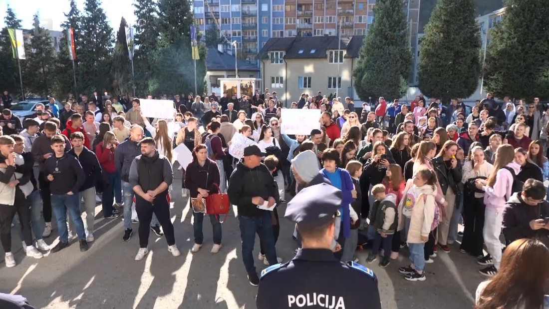 Gradsko vijeće Goražda traži da se problem pasa lutalica riješi u roku od 48 sati