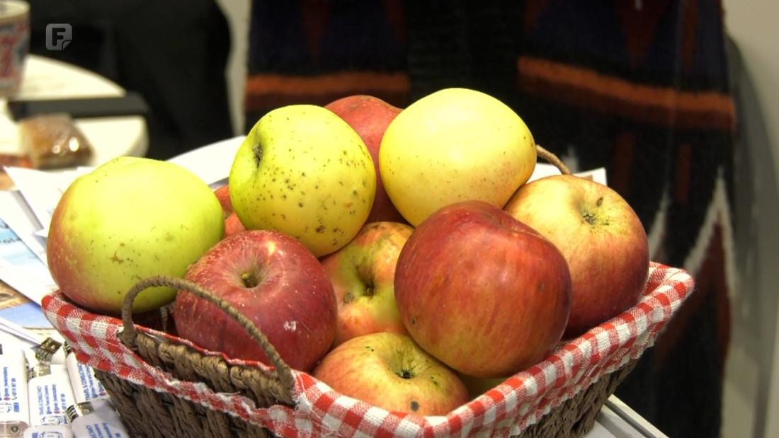 Sajam 'Dani jabuke' u Goraždu okupio više od 80 izlagača iz regiona