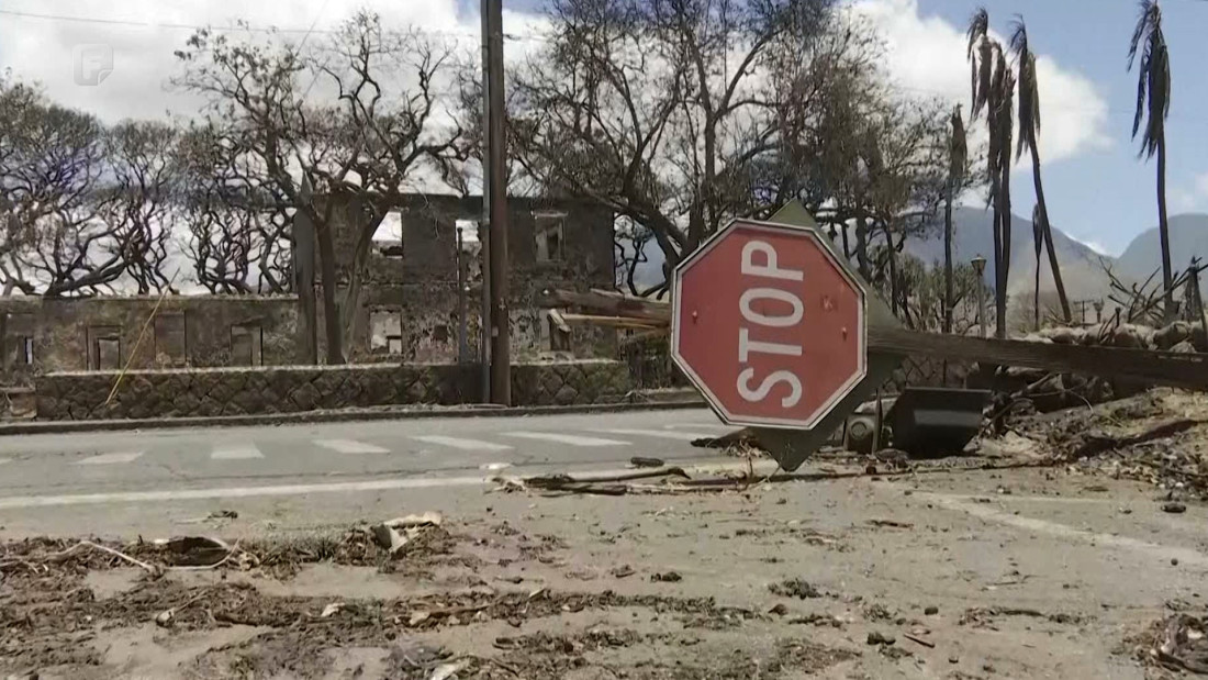 Porastao broj poginulih u šumskim požarima na Havajima