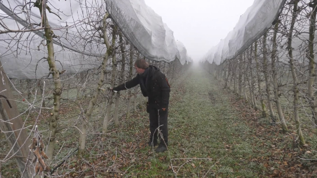 Posavski poljoprivrednici u borbi za opstanak: Problemi s konkurencijom i poticajima