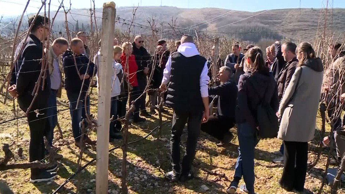 Veliko ineresovanje za školu rezidbe vinove loze i voćaka