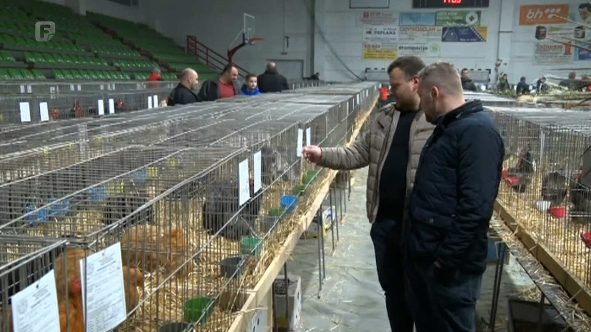 Više od hiljadu eksponata na izložbi sitnih životinja u Tešnju