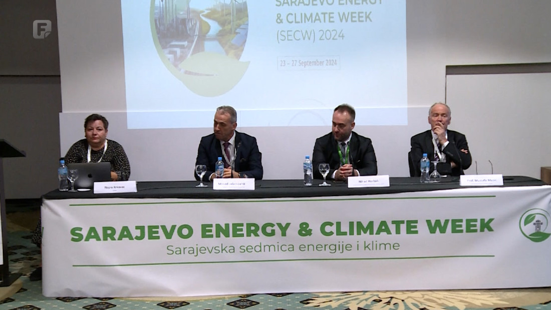 BiH mora investirati u proizvodnju i distribuciju električne energije da je ne bi uvozila
