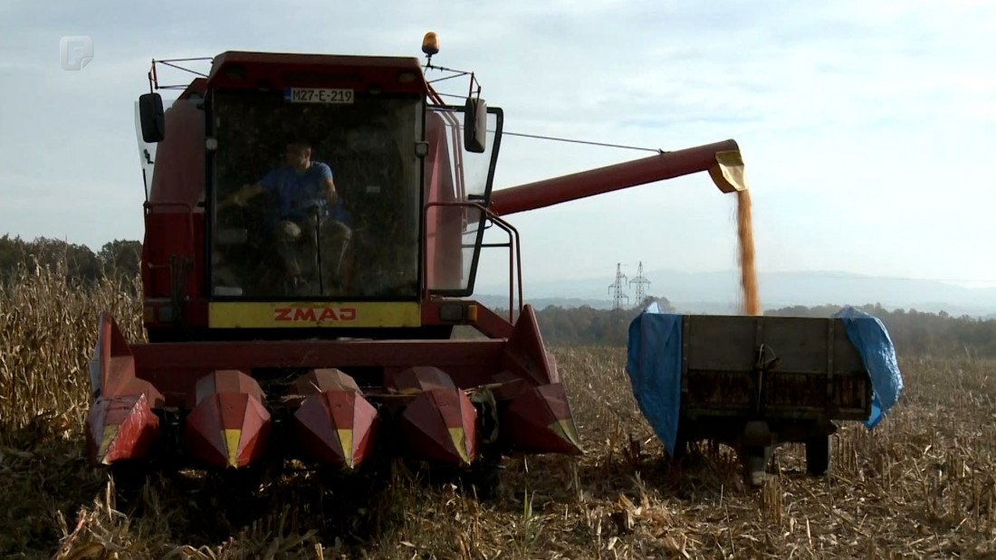 Suša prijeti da uništi osamdeset posto prinosa u Semberiji