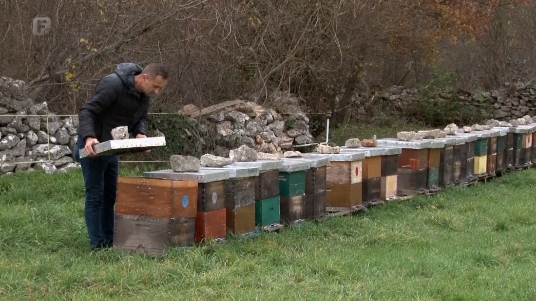 Specifičnosti pčelarstva na jugu BiH - med koji nastaje tokom cijele godine