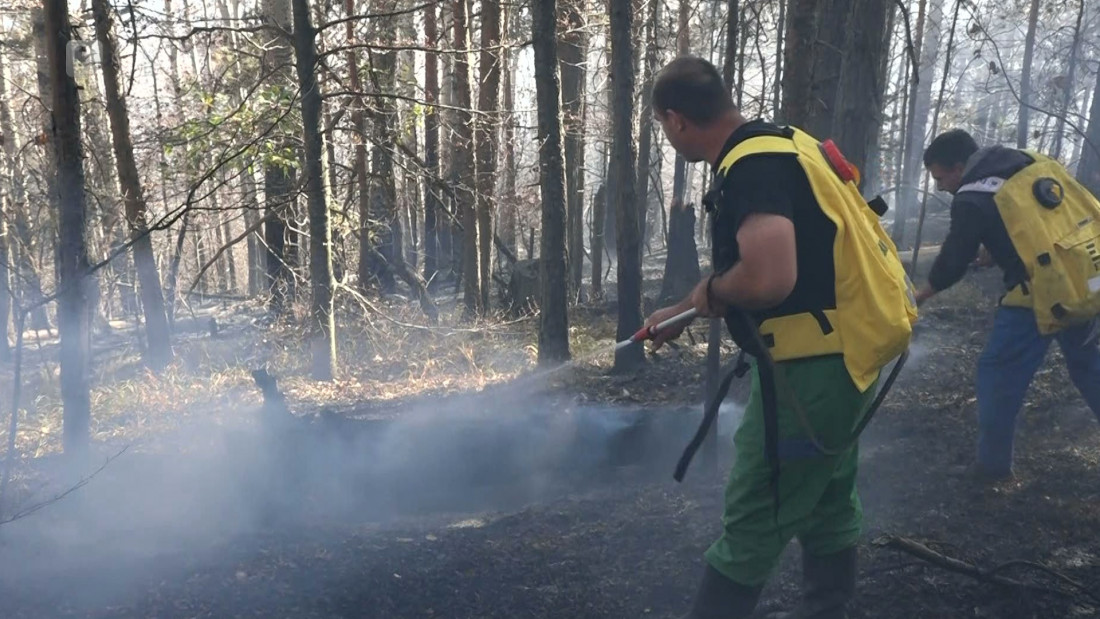 Požar kod G. Vakufa lokaliziran uz pomoć vatrogasaca i helikoptera OSBiH