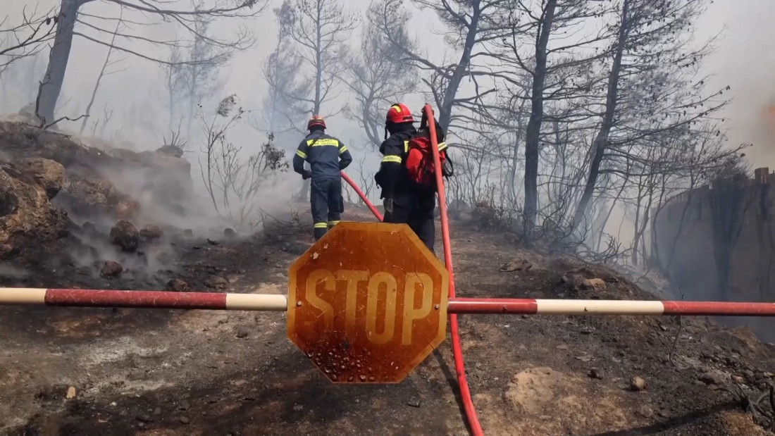 Svijet se 2023. borio s velikim šumskim požarima
