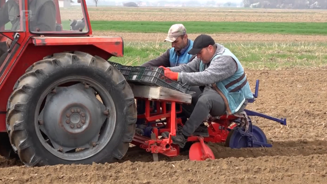 Cijene repromaterijala rastu brže nego što ratare mogu preorati njive
