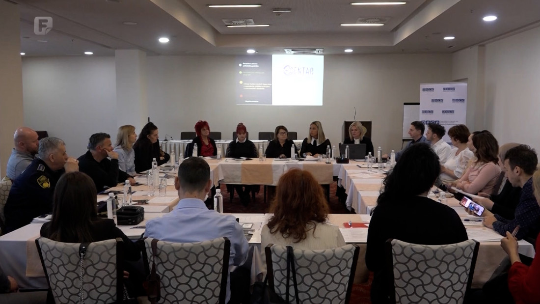 Stručni skup u Zenici o podršci ženama žrtvama nasilja u porodici