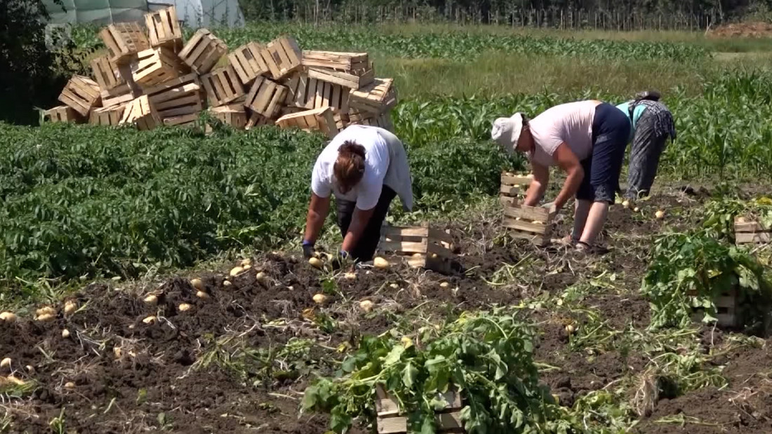 Nedostatak radne snage i nelojalna konkurencija ugrožavaju proizvodnju u Semberiji