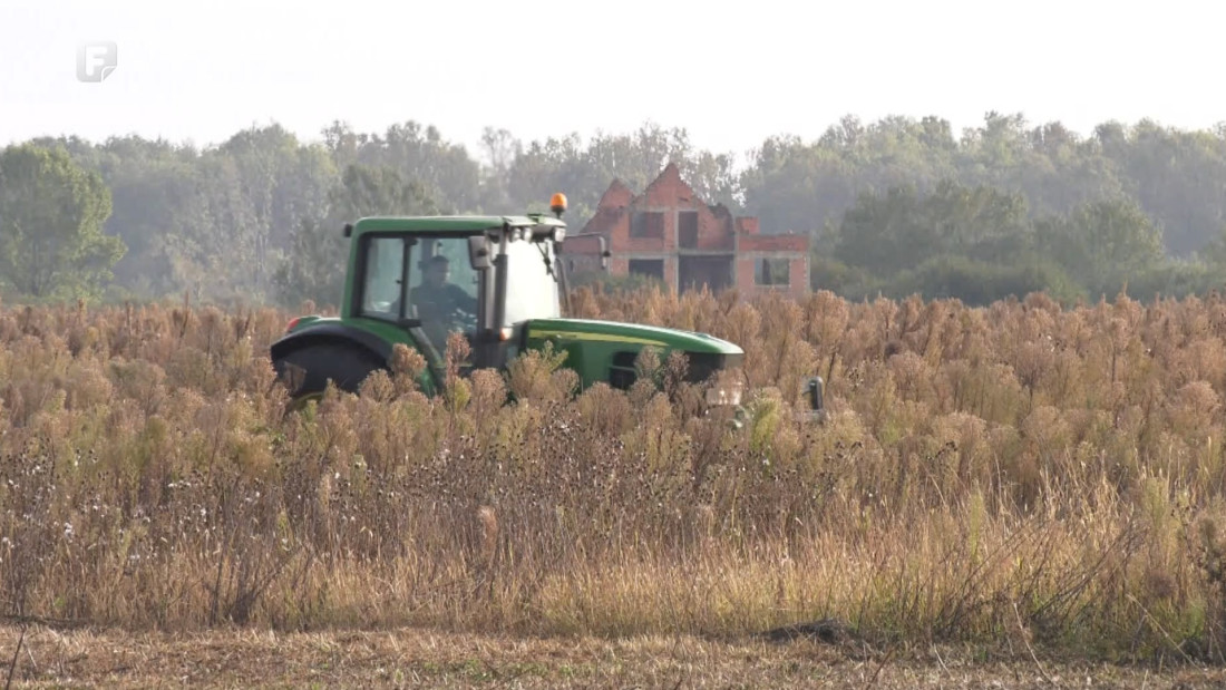 Pod pritiskom klimatskih promjena poljoprivrednici se okreću ozimim kulturama