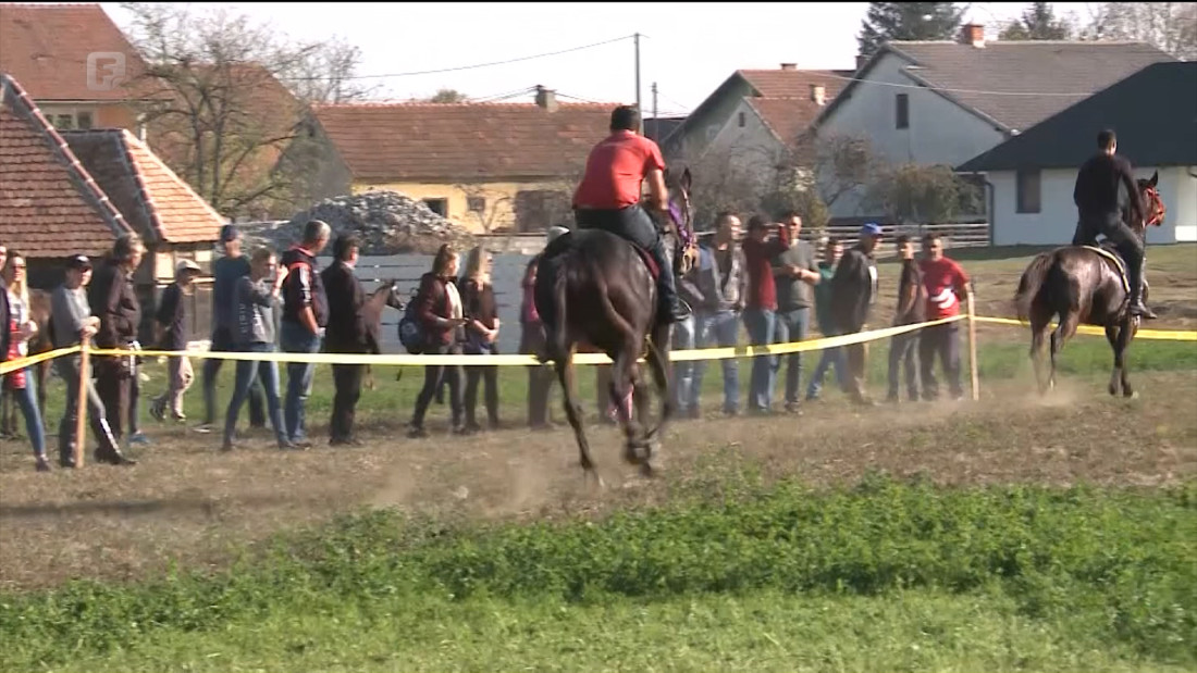 Revijalna trka konja u Bijeljini