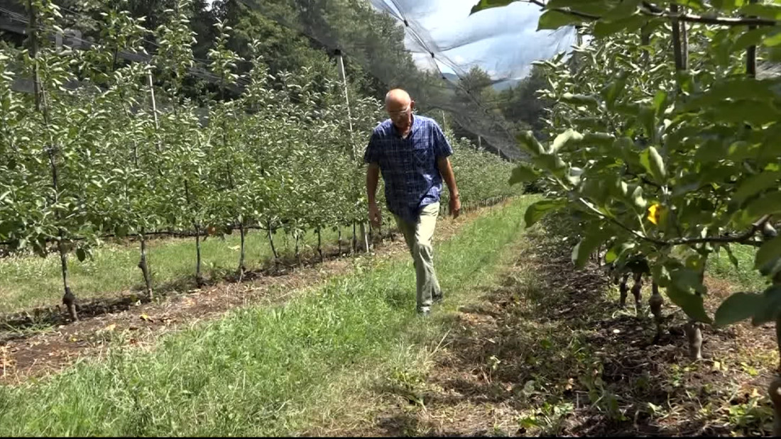 Kontinuirane suše uzrokovale enormne gubitke u poljoprivredi u ZDK-u