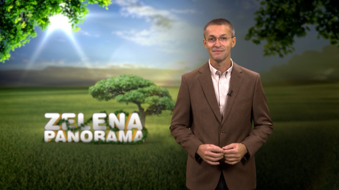 Zelena panorama, 25.10.2026.