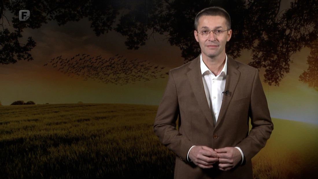 Zelena panorama, 14.12.2025.