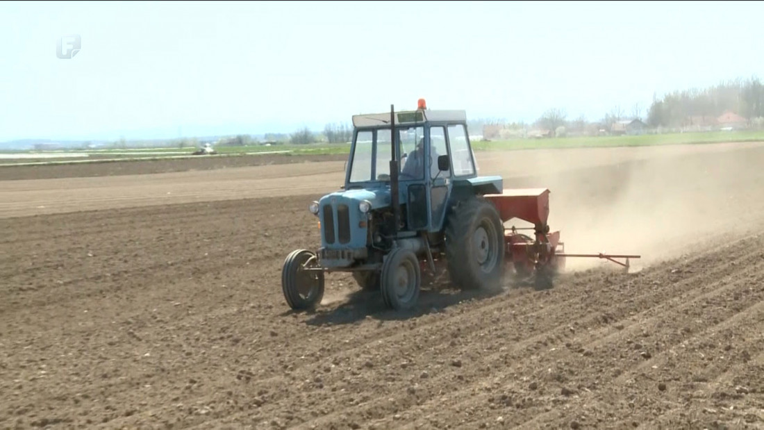 Najskuplja sjetva do sada, cijena gnojiva porasla za čak 400 posto