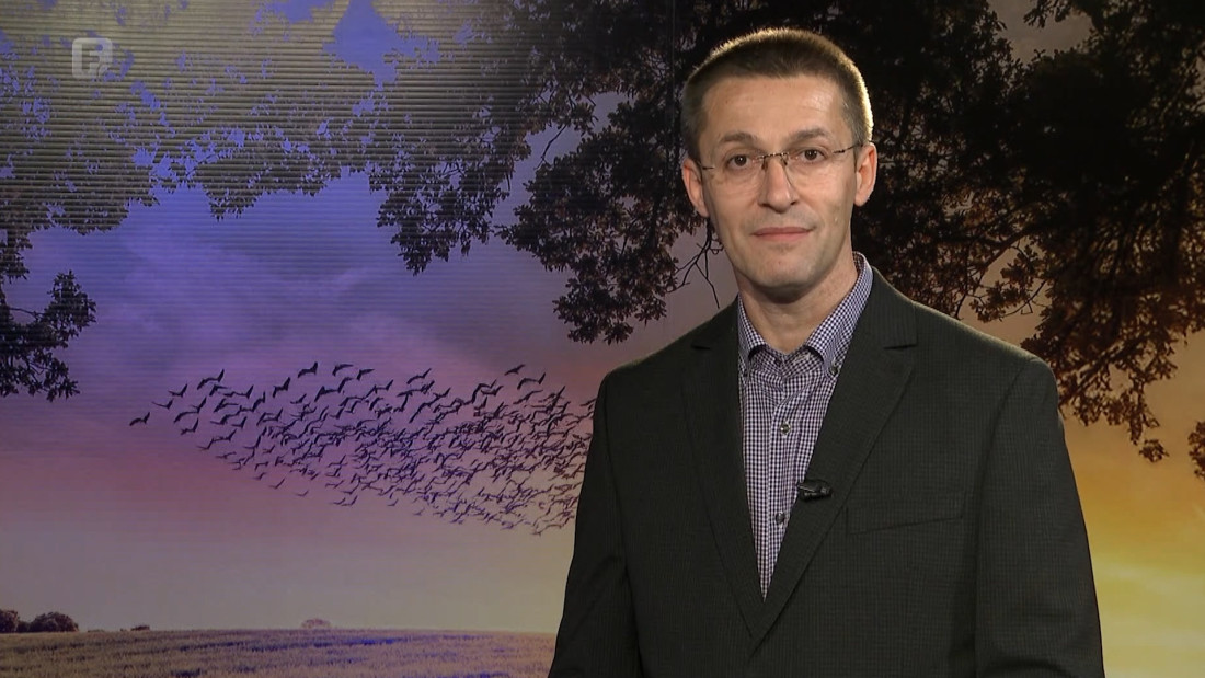 Zelena panorama, 29.03.2026.