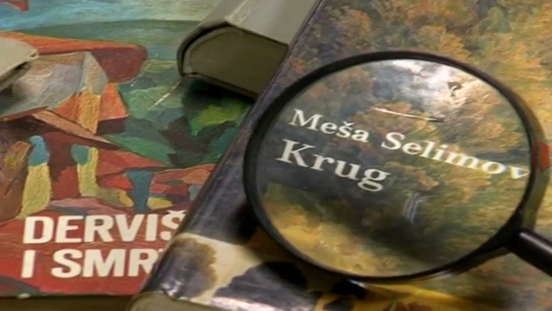 Nova čitanja klasika