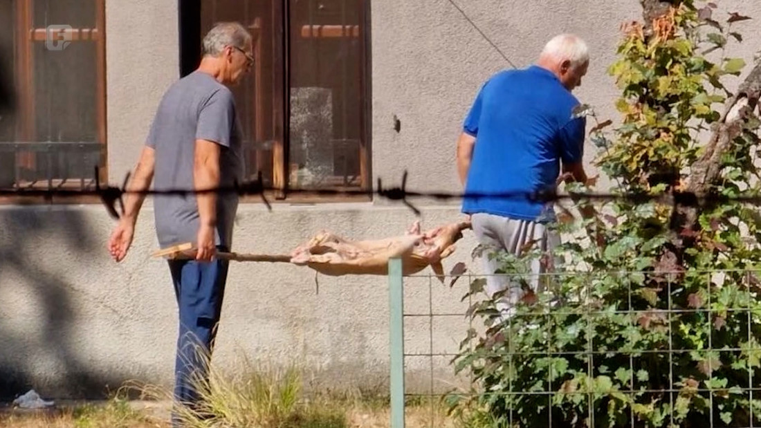 Prizor iz dvorišta Zemaljskog muzeja otkrio posljedice njegovog neriješenog statusa
