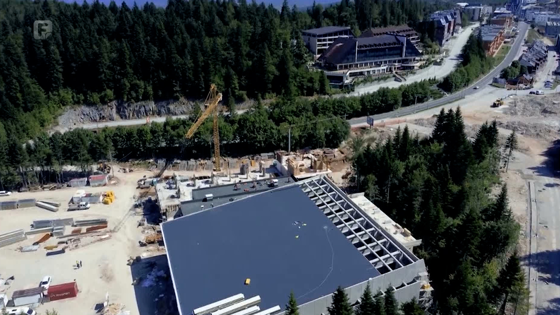 Nije šuma sve što je drvo