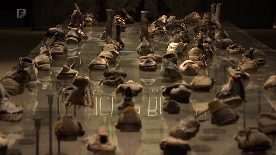 Nijemi svjedoci genocida u Srebrenici