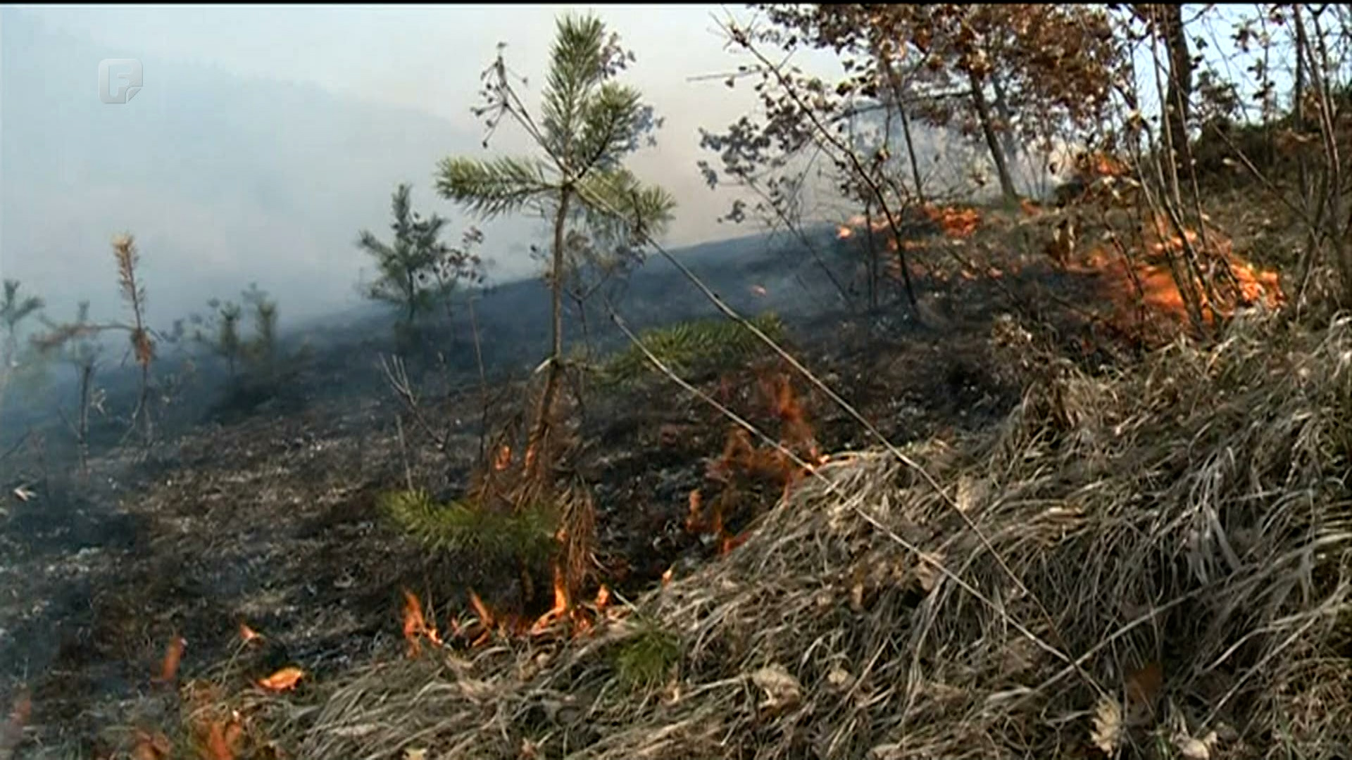 Gori planina Lisac kod Zenice