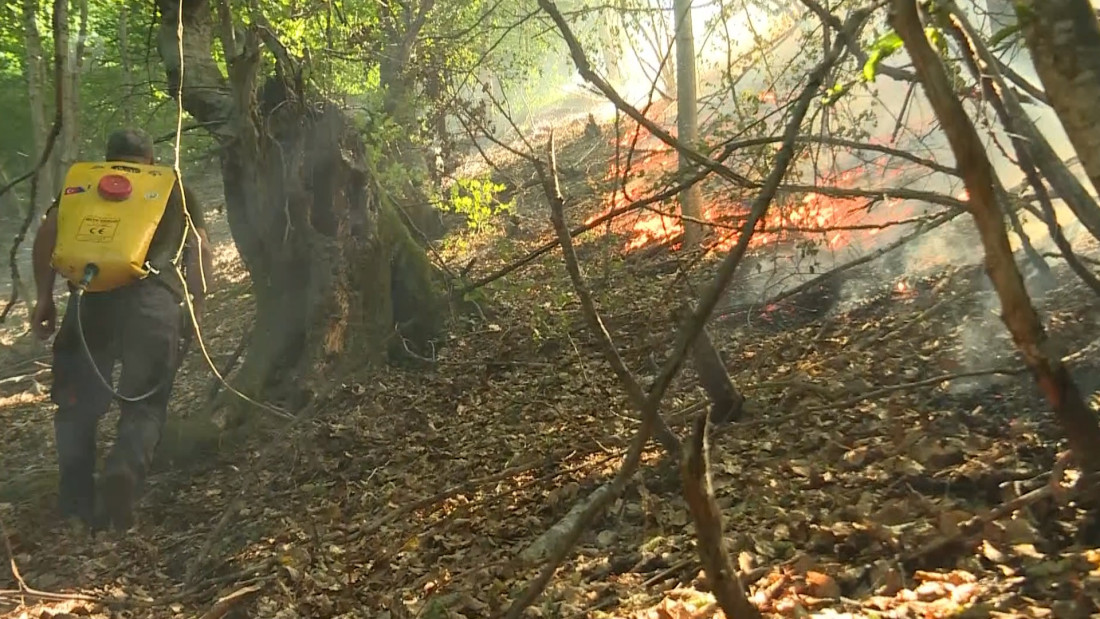 U Bosanskom Grahovu traje borba s vatrom, kod Konjica požari lokalizirani