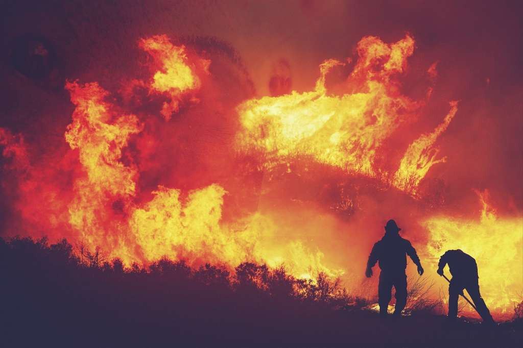 Čile: Dvije osobe privedene zbog sumnje u podmetanje šumskih požara