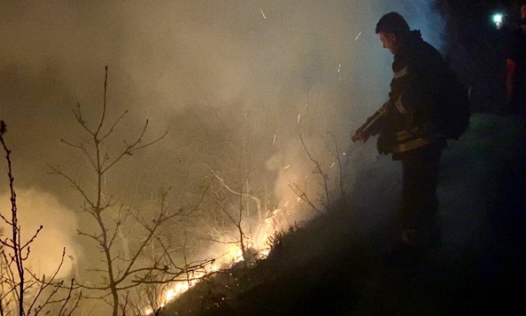 Grčka evakuirala još sela, požar se proširio na pokrajinu Attica