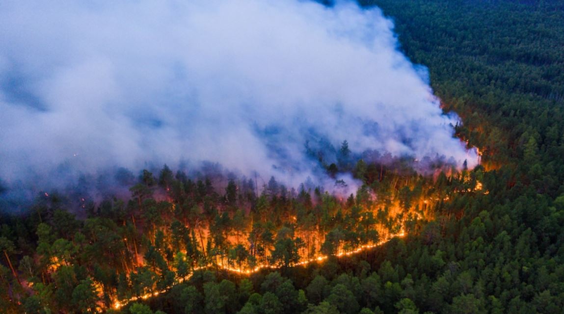 Šumski požari zahvatili Sibir, više od 4.000 požara u ovoj godini