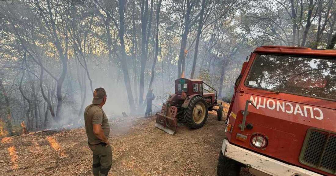 Desetine požara i dalje aktivne u Srbiji, jak vjetar otežava gašenje