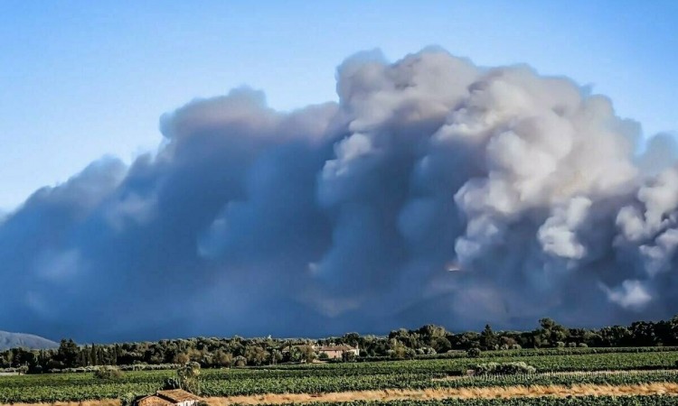 Hiljade ljudi evakuisano zbog požara na jugu Francuske