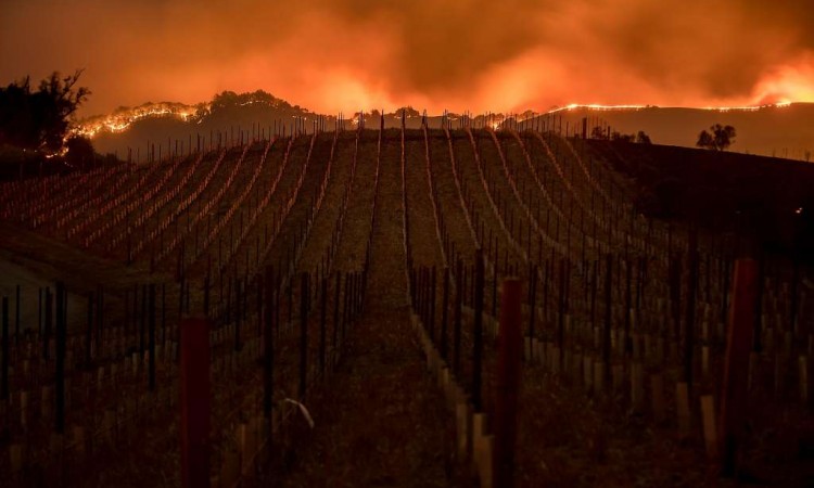 Požar Dixie postao drugi najveći u historiji Kalifornije