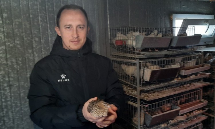 Adnan Ibrahimović od hobija razvio ozbiljan posao uzgoja japanskih prepelica