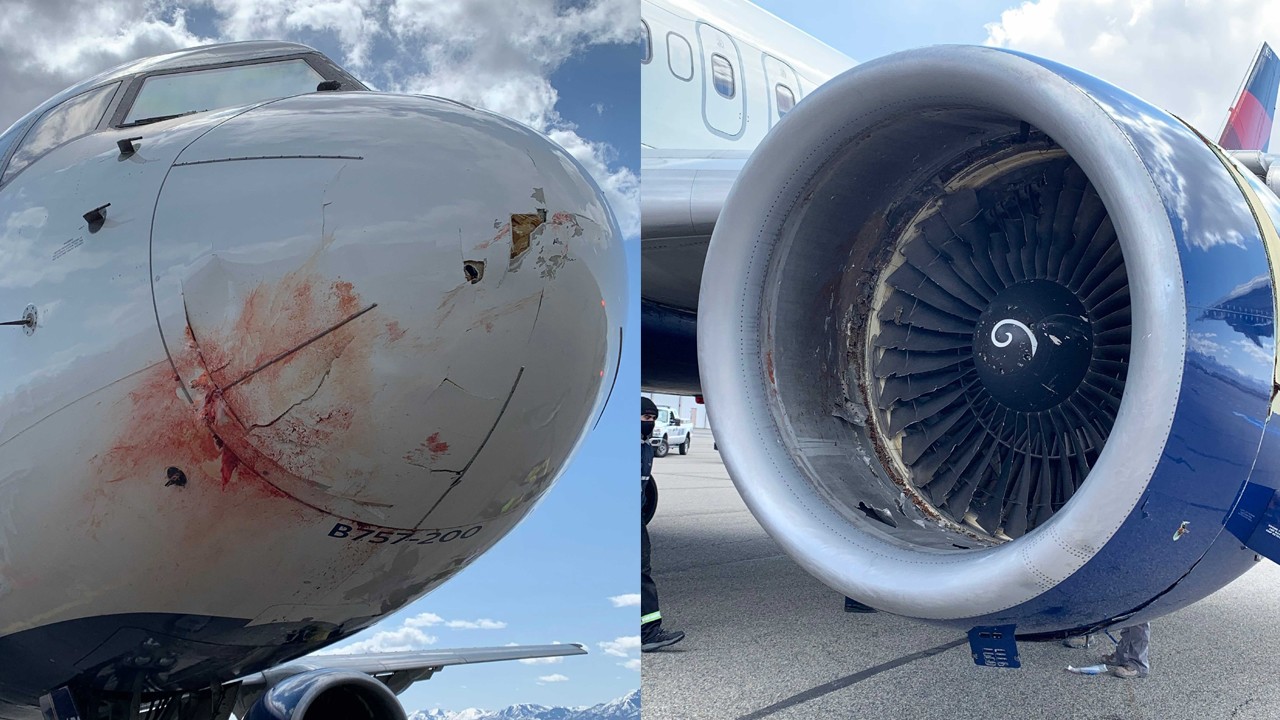 SAD: Avion sa košarkašima Utah Jazza naletio na jato ptica i prinudno sletio