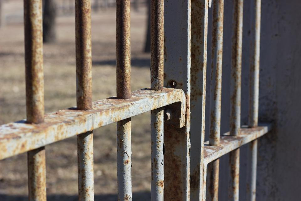 Egipat: Proglašena amnestija za 2.674 zatvorenika