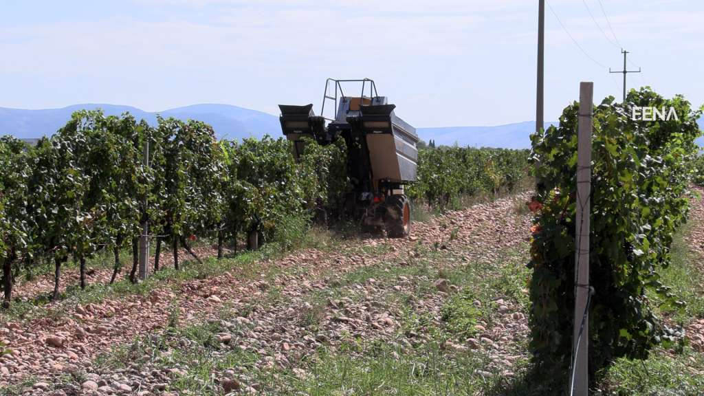 U 2022. u FBiH povećana proizvodnja krompira, jabuka, šljiva, grožđa, znatno manje kukuruza