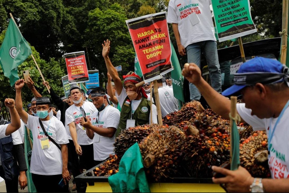 Indonezijski poljoprivrednici protestuju zbog zabrane izvoza palminog ulja