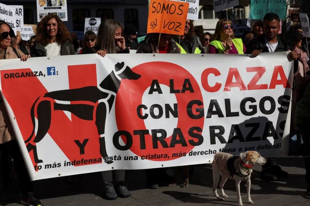 Španija: Grupe za zaštitu prava životinja traže to i za lovačke pse