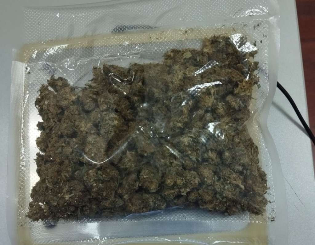 Prijedor: U akciji 'Botanik' uhapšena dvojica Prijedorčana, pronađen zasad indijske konoplje