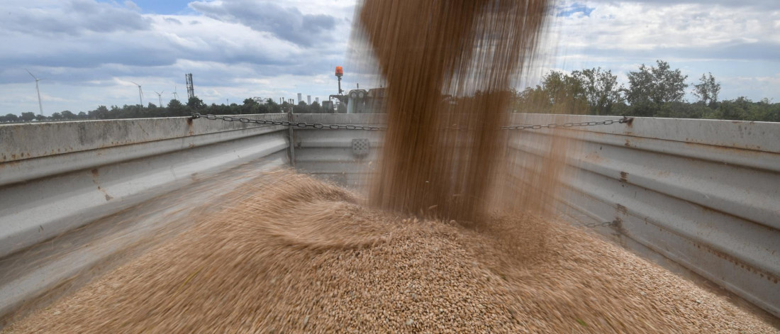 Mađarska zatražila od EU da produži ograničenja uvoza ukrajinskih žitarica