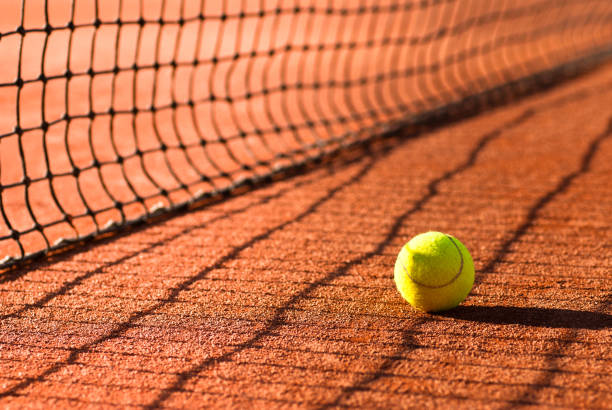 Francuske vlasti upozorile da bi Đoković mogao propustiti i Roland Garros ako se ne vakciniše