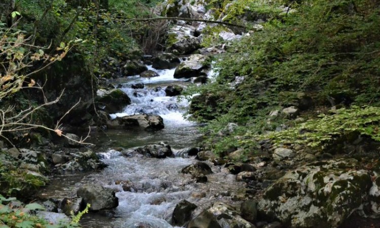 Koalicija za zaštitu rijeka BiH: Neka svaki dan bude dan akcije za rijeke