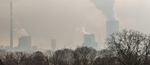 Akcija: Films for future! - Javni poziv za dostavljanje kratkih dokumentarnih filmova