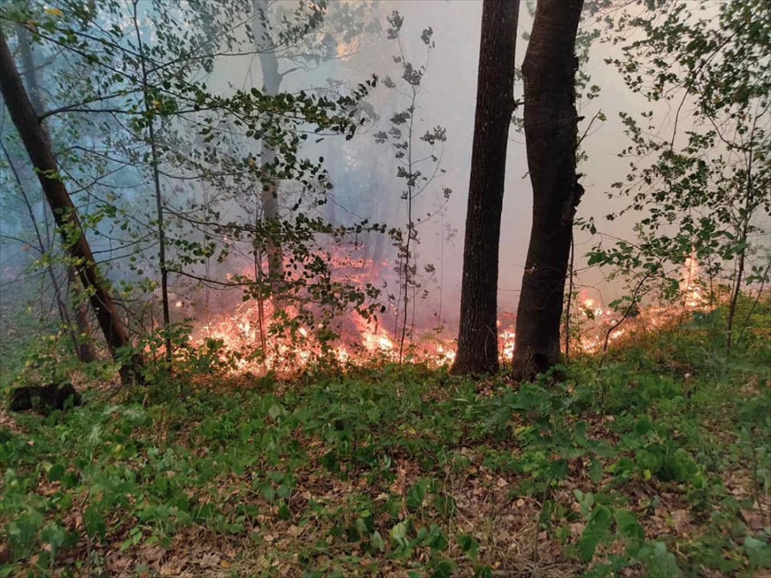 Vatrogasci i Helikopterski servis RS-a gase požar na Vrbanjskim brdima kod Banjaluke