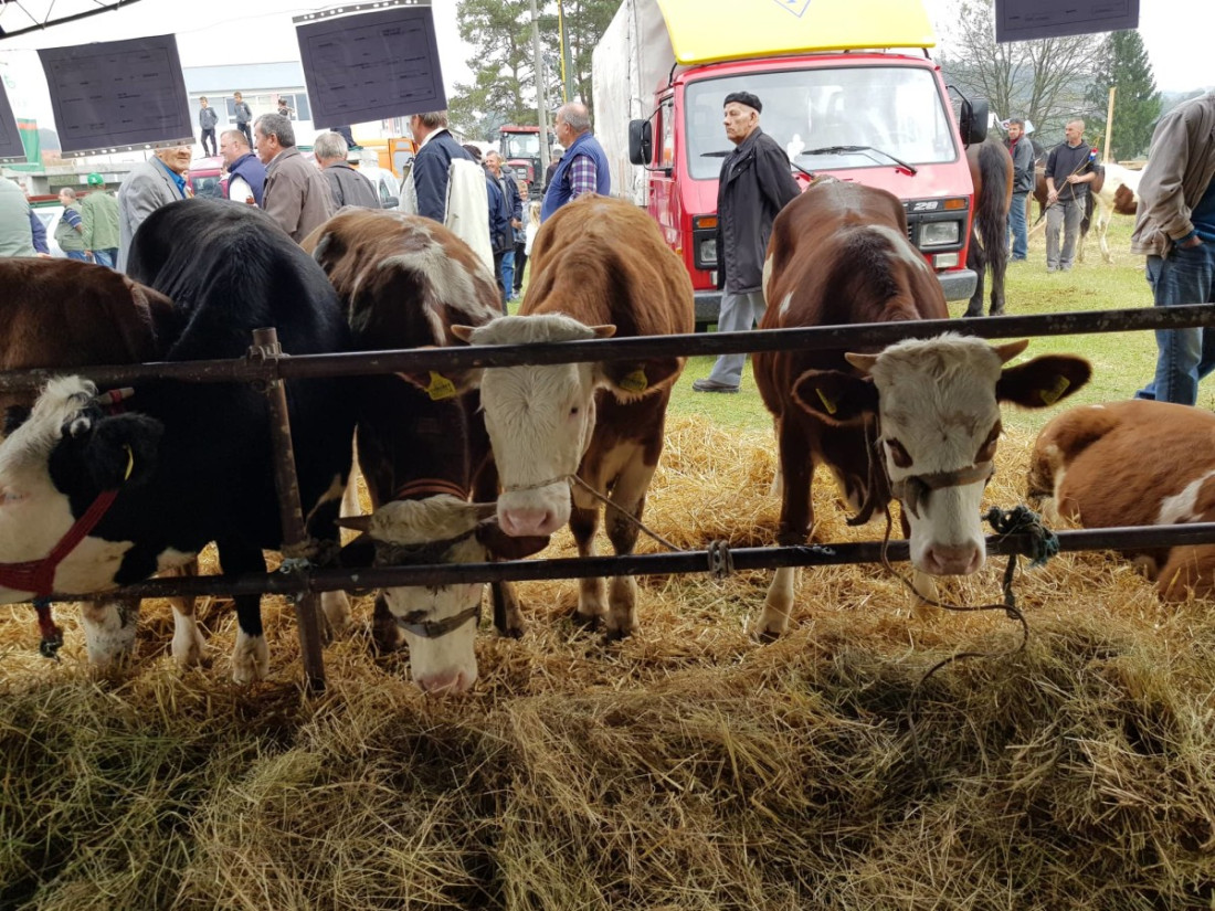 Izložba stočarstva i ruralnog stvaralaštva Gračanica i Doboj Istok