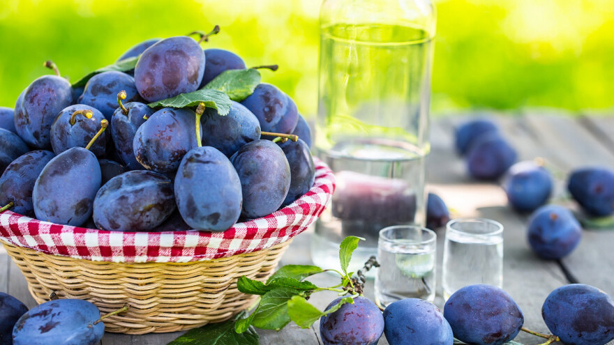 Krajem augusta 52. "Sajam šljive" u Gradačcu